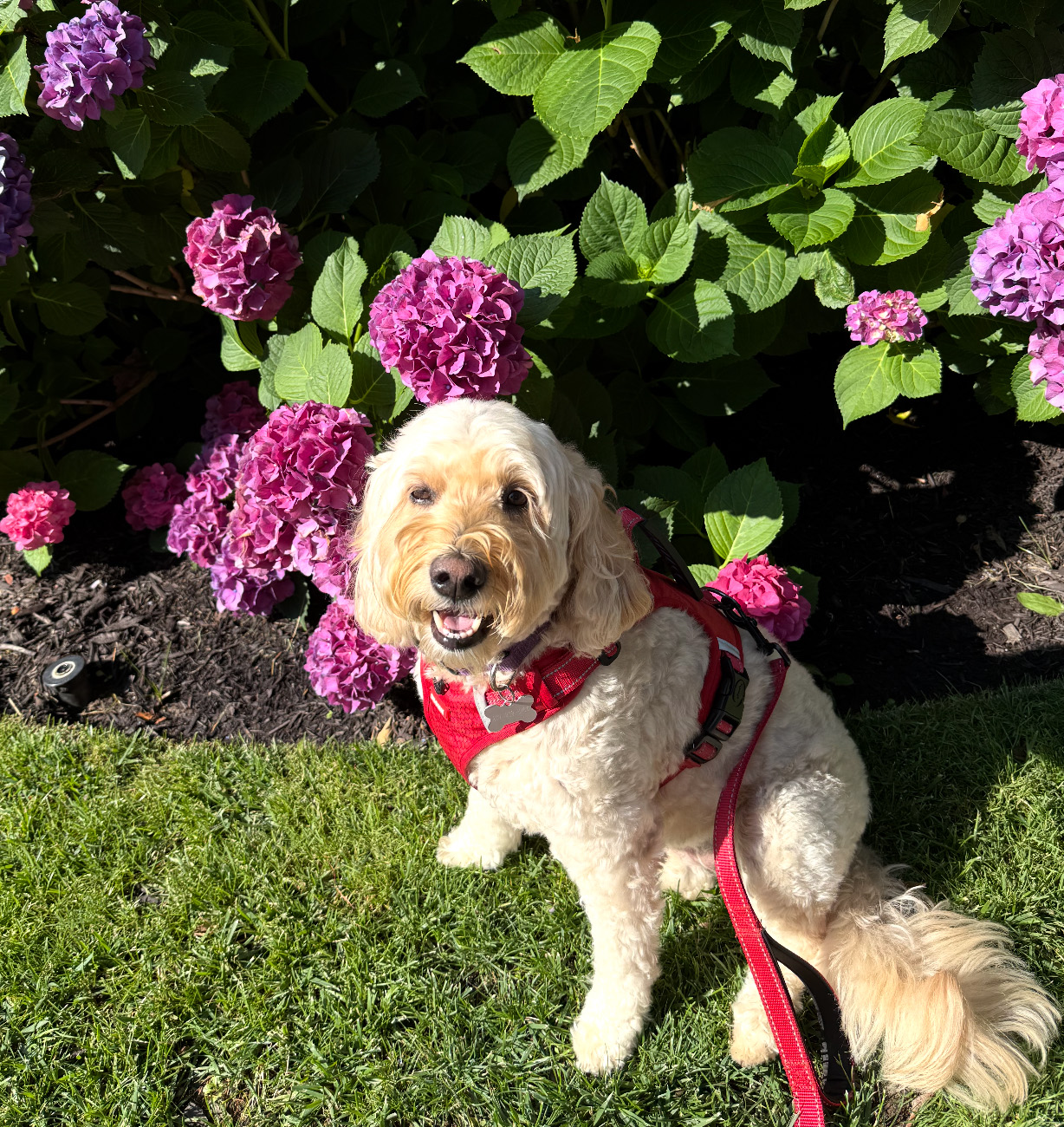 Photo 3